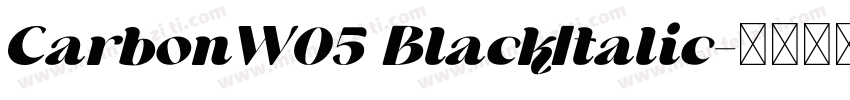 CarbonW05 BlackItalic字体转换